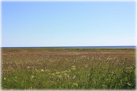 Strandäng i Anga, Bajänge