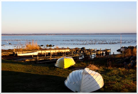 Brändus hamn