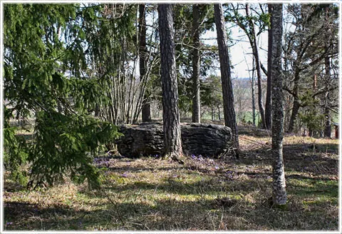 Tjelvars varpe, foto Bernt Enderborg