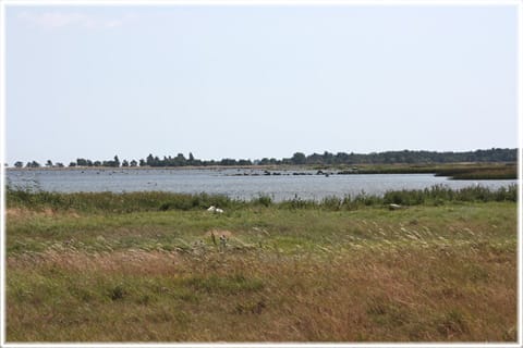 Tubod fiskeläge