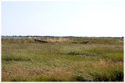 Tubod fiskeläge