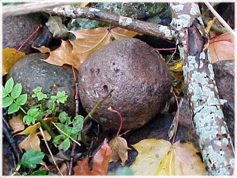 Malstainar, foto Bernt Enderborg