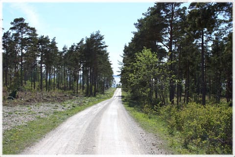 Bungenäs vägar
