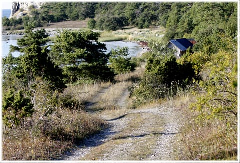 Vägen till Häftings klint