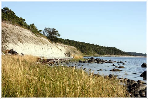 Häftings klint