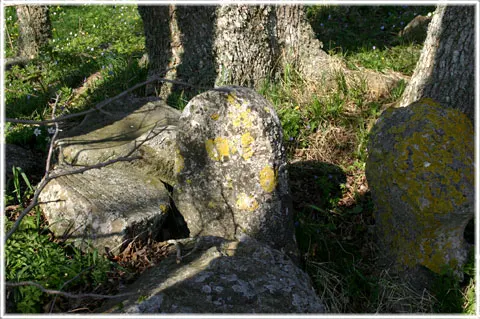 Gotlands kristnande, foto Bernt Enderborg