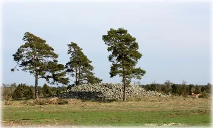 Härdarve , foto Bernt Enderborg