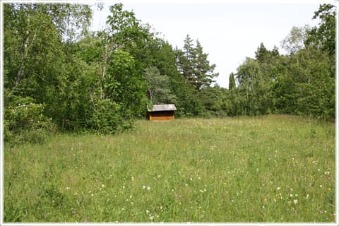 Liste ängar