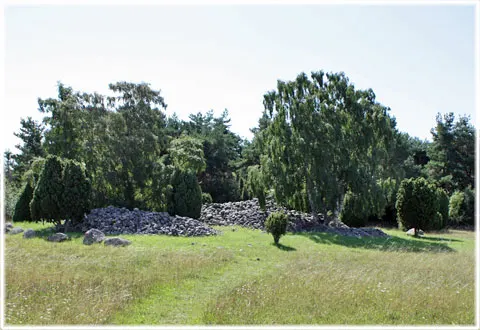 Angantyrs rojr, foto Bernt Enderborg