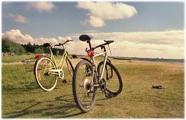 Cykelleden på Gotland , foto Björn Pettersson