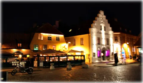Visby lades i aska 1362, foto Bernt Enderborg