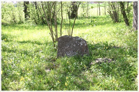 Bildsten i Prostarve äng