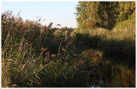 Västergarn fiskeläge