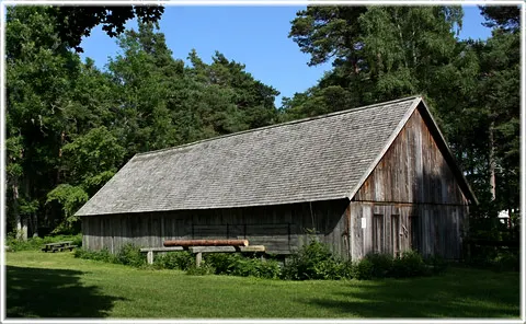 Petarve vattensåg, foto Bernt Enderborg