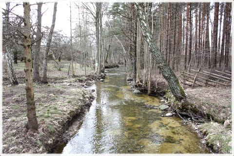 Petarveån i Sanda