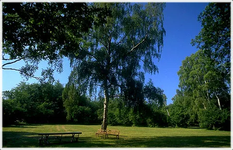 Öja kyrkäng, foto Björn Pettersson