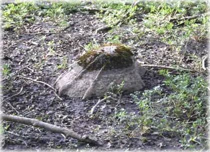 Troll , foto Bernt Enderborg