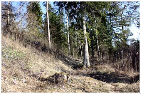 Lojsta slott, foto Bernt Enderborg