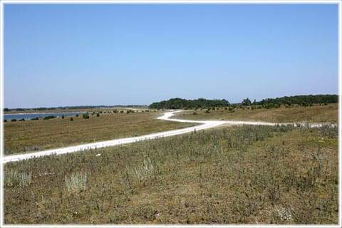 Närkholm
