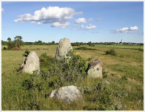 Jusarve, foto Bernt Enderborg
