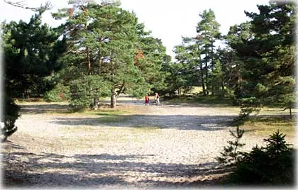 De gömda stränderna , foto Bernt Enderborg