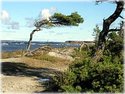 Hej och tack för en underbar dag!