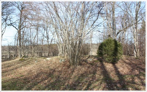 Mattsarve äng, Hörse, Gotland