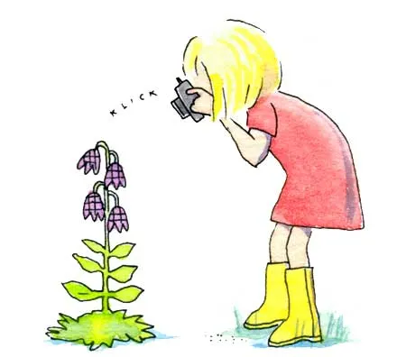 Nästan favoritresmål , illustration Lotta Ingelse