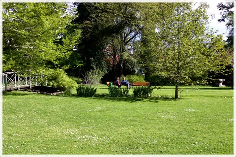 Ett andningshål - Botaniska trädgården, foto Bernt Enderborg