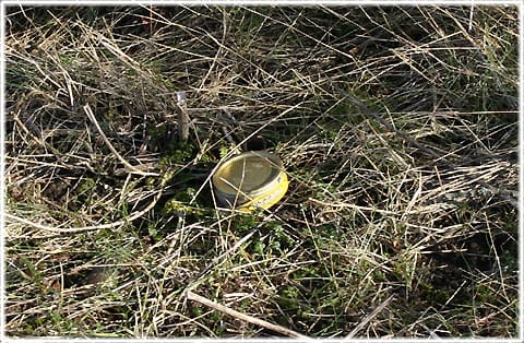 våren 2007 på Gotland, Brogårdsmyr