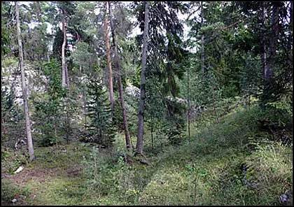 Östra skeppsgången , foto Bernt Enderborg