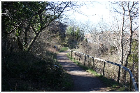 Kärleksstigen