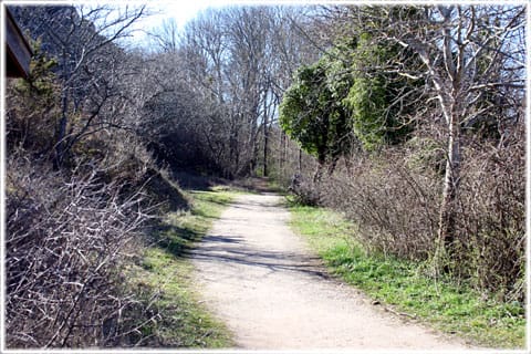 Kärleksstigen