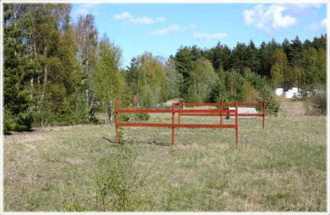 Gropen i Stånga