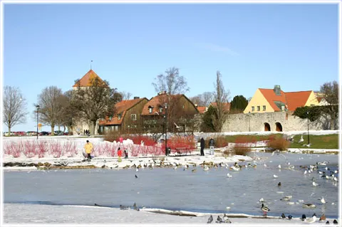 Visby sevärdheter, foto Bernt Enderborg