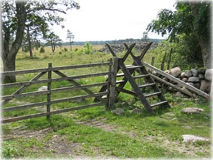 Sommer på Gotland 2004 , foto Anne og Bjørn