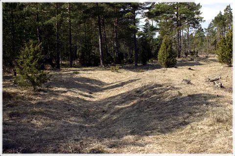 Ekeskogs fornborg, foto Bernt Enderborg