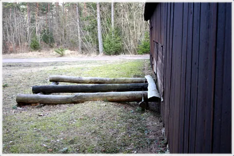 Kyrkbinge vattensåg, foto Bernt Enderborg