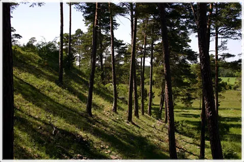 Mulde fornborg, foto Bernt Enderborg
