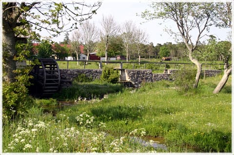 Lillrone kvarn, miljö och natur