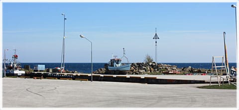 Gula hönan