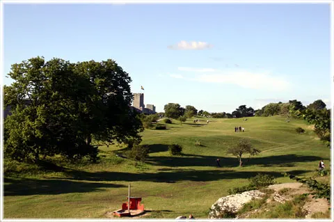 Östergravar i Visby, foto Bernt Enderborg