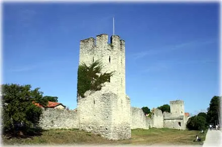 Stor Christin , foto Bernt Enderborg