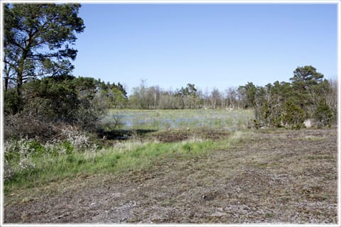 Österby myr, våtmark, Kräklingbo