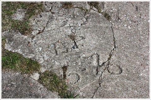 Själsö fiskeläge