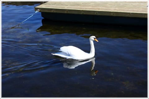 Själsö fiskeläge