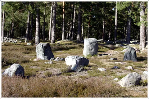 Vendeltida solur, foto Bernt Enderborg