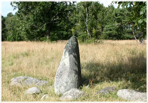 Bautastenar, foto Bernt Enderborg