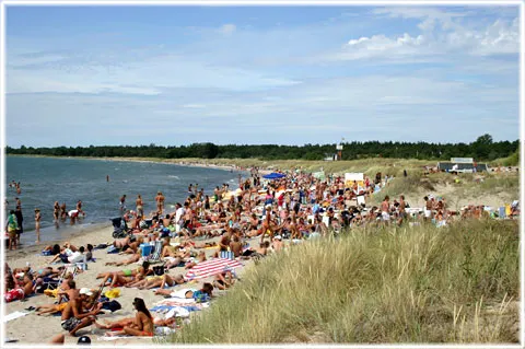 Tofta strand, foto Bernt Enderborg
