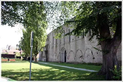 Vad sa Petrus de Dacia 1288, foto Bernt Enderborg